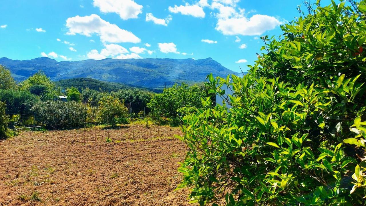 Agritourism Cottage Near Sitia Ngoại thất bức ảnh